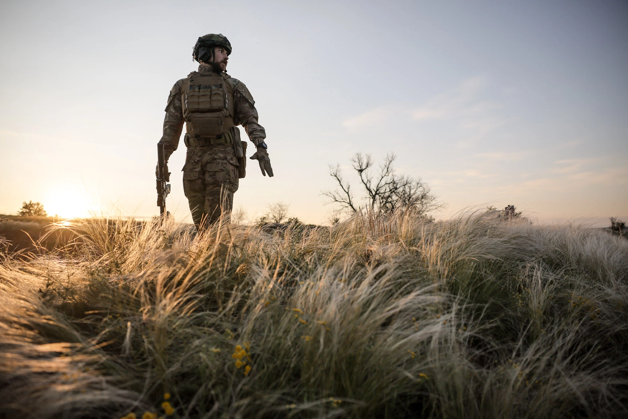 background fill form